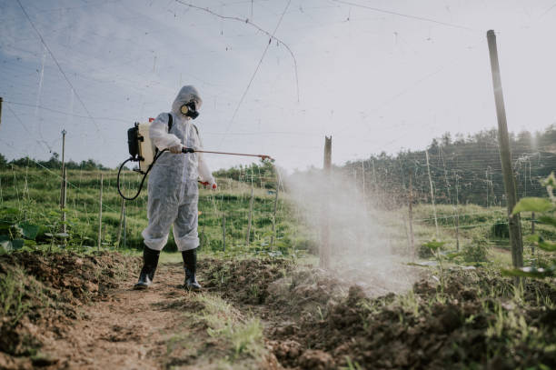 Best Best Pest Control Companies  in Doa Ana, NM