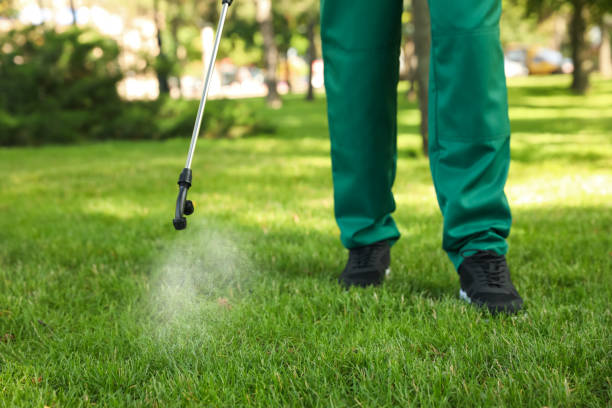 Best Best Pest Control Companies  in Doa Ana, NM