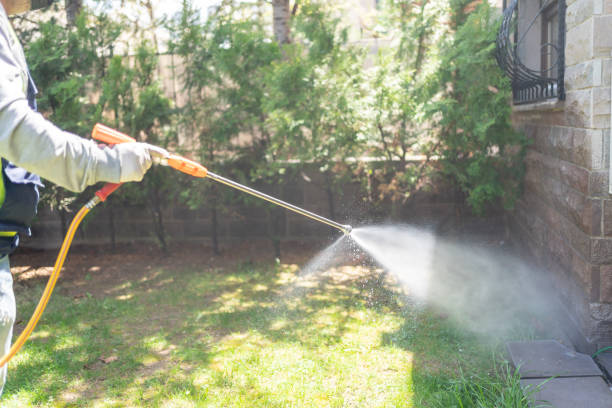 Best Pest Removal Services  in Doa Ana, NM