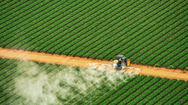 Best Termite Control Services  in Doa Ana, NM