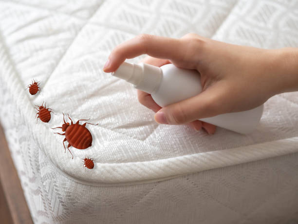 Best Commercial Pest Control Services  in Doa Ana, NM