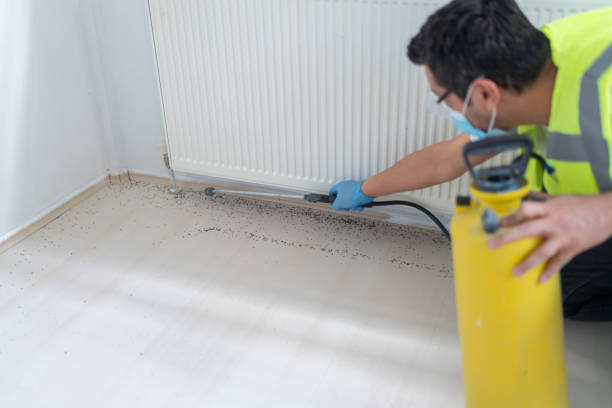 Reliable Doa Ana, NM Pest Control Solutions