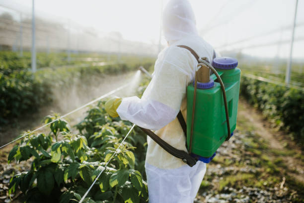 Best Insect Control  in Doa Ana, NM